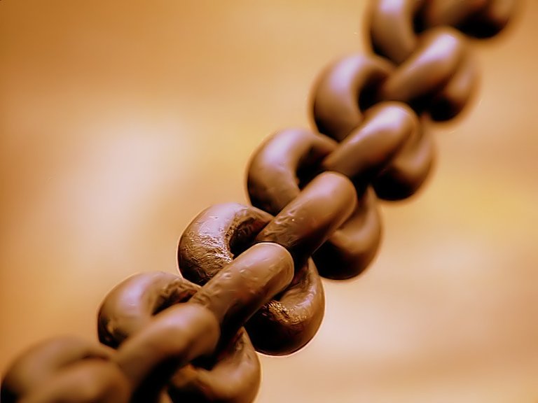 Broad_chain_closeup.jpg