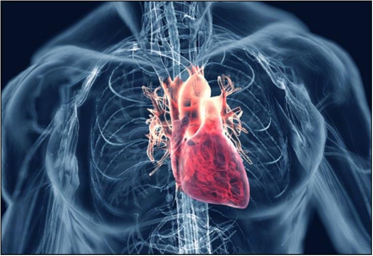 doencas-cardiovasculares.jpg