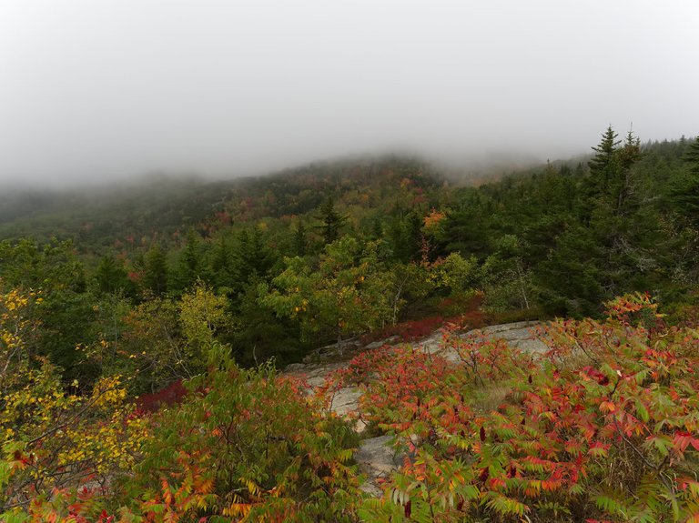 jessicaoutside.com-PA081204-foggy-view-cadillac-mountain-acadia-national-park-1200-85.jpg