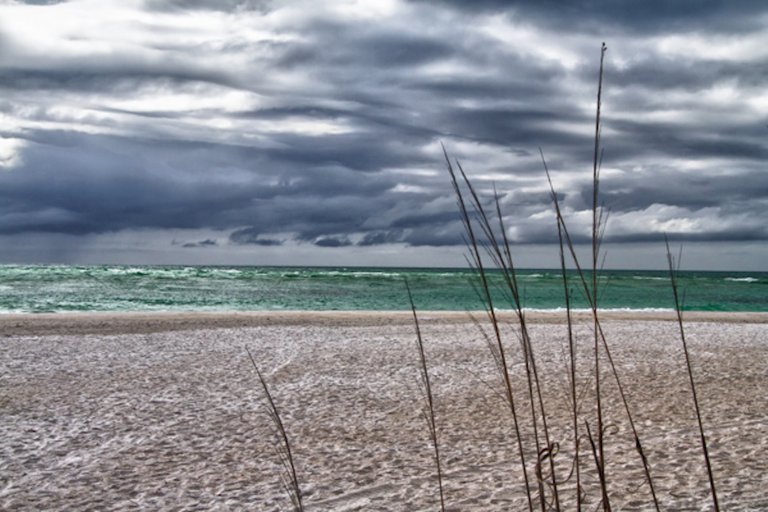 Anna_Maria_Island_20110306_0003.jpg