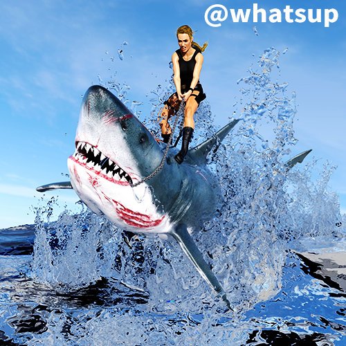 whatsupshark.png