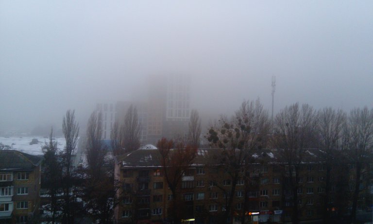 foggy2.JPG