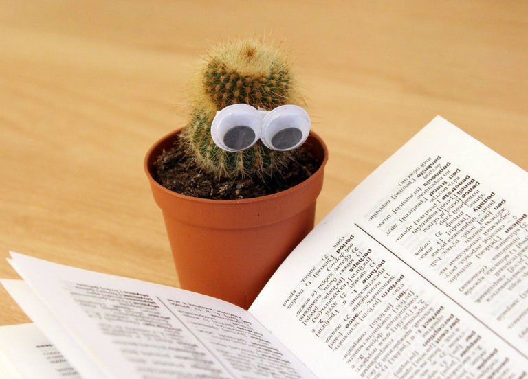 learning cactus.jpeg