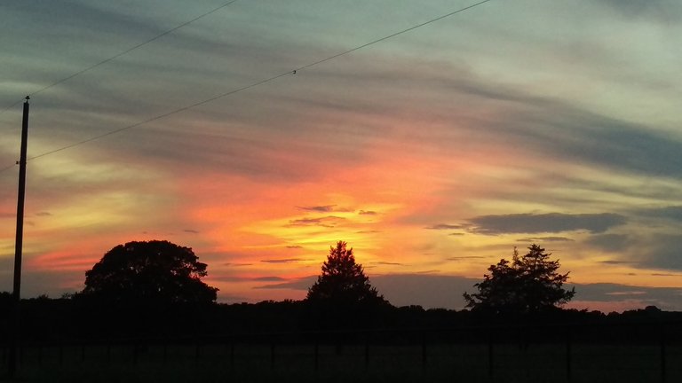 Texas_sky_sunset_cameraphone_2.jpg