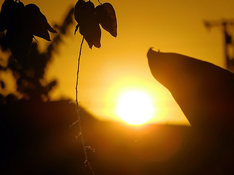 sunset, sunsetphotography, jeronimo rubio, 2018, nature, naturephotography (227).JPG