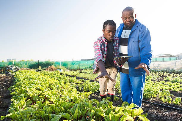 african-males-using-tablet-in-vegetable-garden-picture-id539438340.jpg