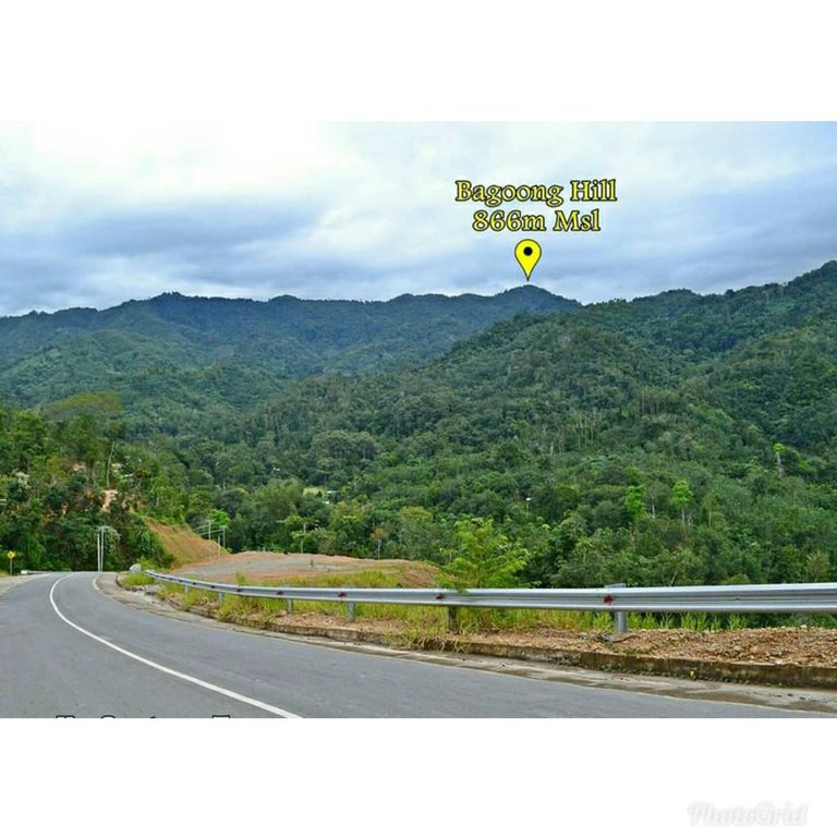 bukit bog23.jpg