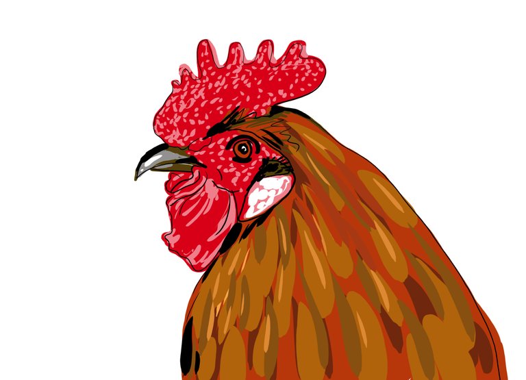 rooster(569).jpg