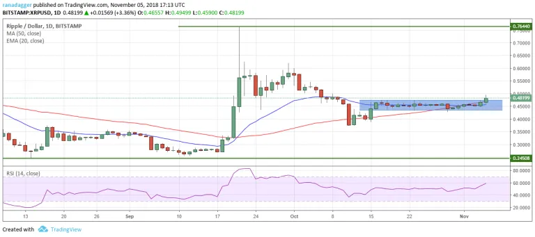 xrp.webp