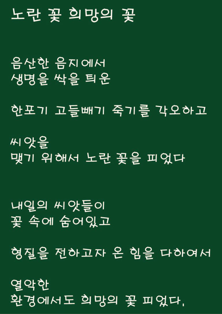 2. 노란 꽃 희망의 꽃.jpg