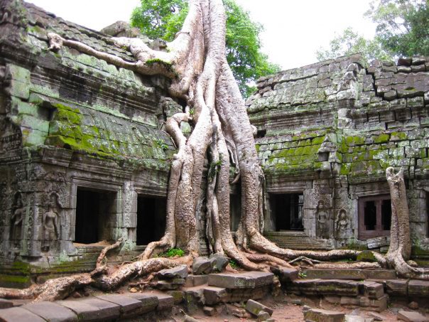 Angkor Wat.jpg