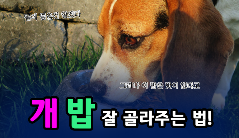 표지.png