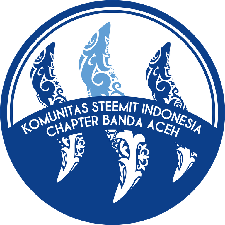 steemit banda aceh.png