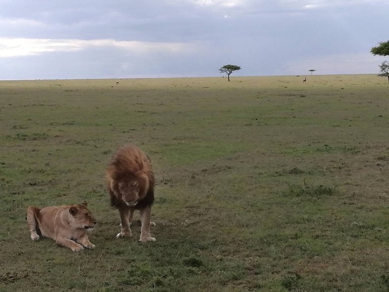 Maasai National Reserve24.jpg