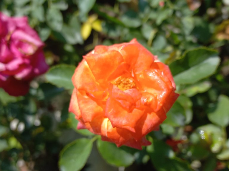 20221026_103325.jpg