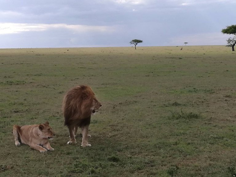 Maasai National Reserve25.jpg