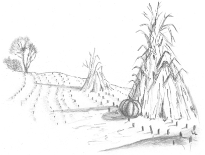 20161117211756-1.png