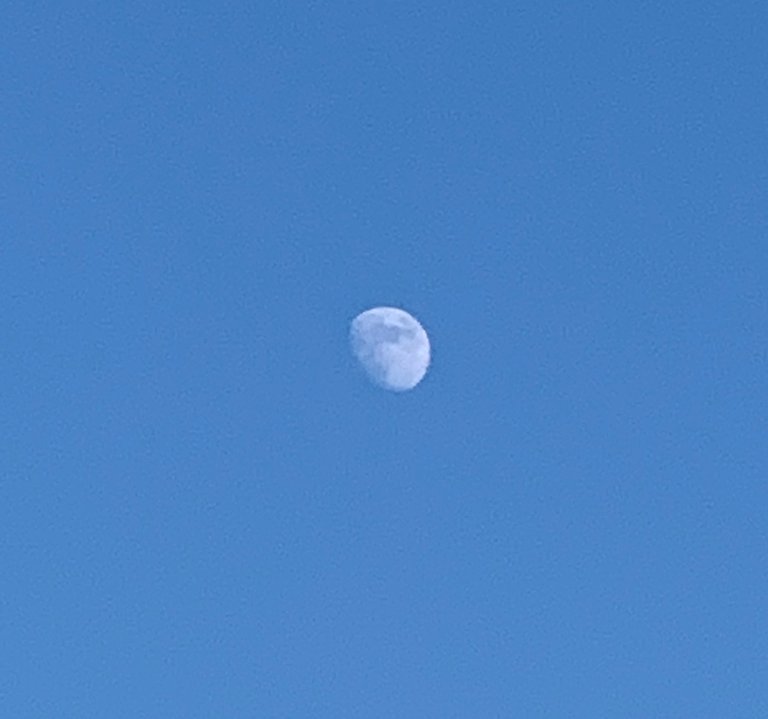 5B9CB78A-EB44-4290-9EFB-83AB13426DD9.jpeg