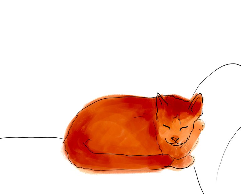sleepycat(503).jpg