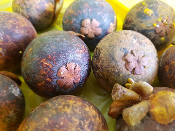 Mangosteens02.jpg