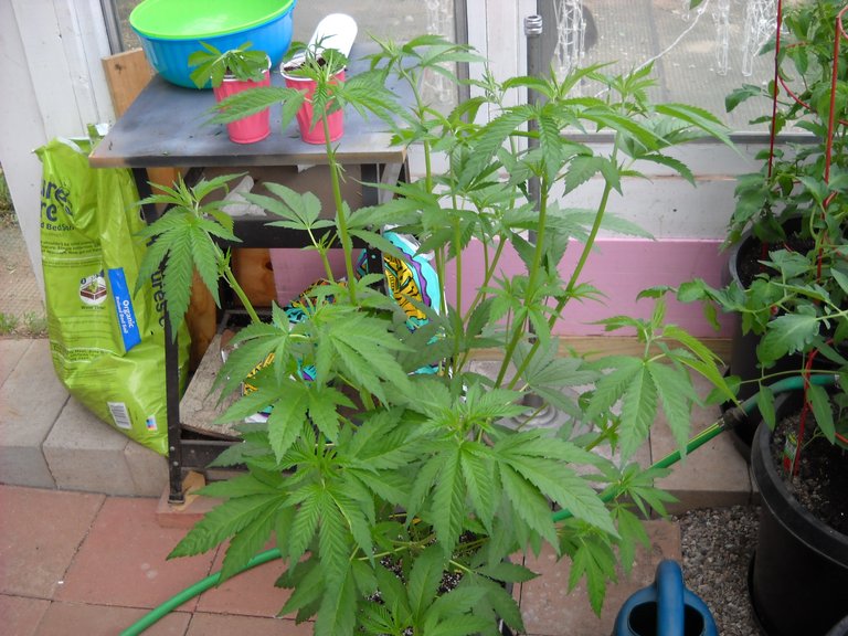 DSCN1153.JPG