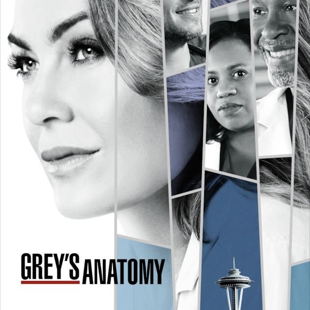 grey-s-anatomy-stagione-14-630x630.jpg