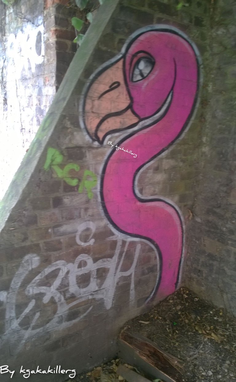 Kgakakillerg original photos graffiti art east London