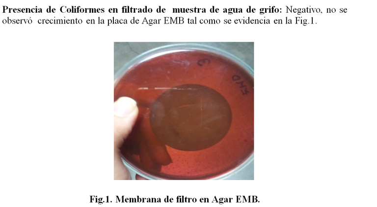 agar mb1.png