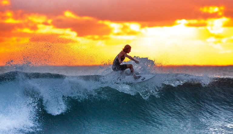 man-surfing-a-wave-at-sunset_800.jpg