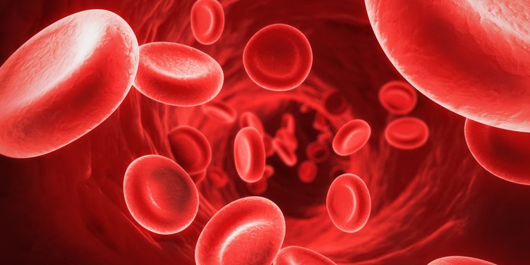 RedBloodCells1-1280x640.jpg