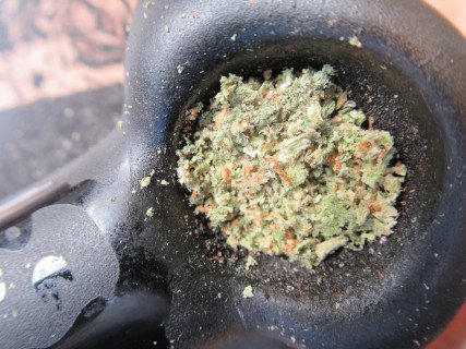 bowlpackcloseup320.jpg