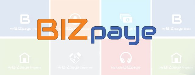 bizpaye.png