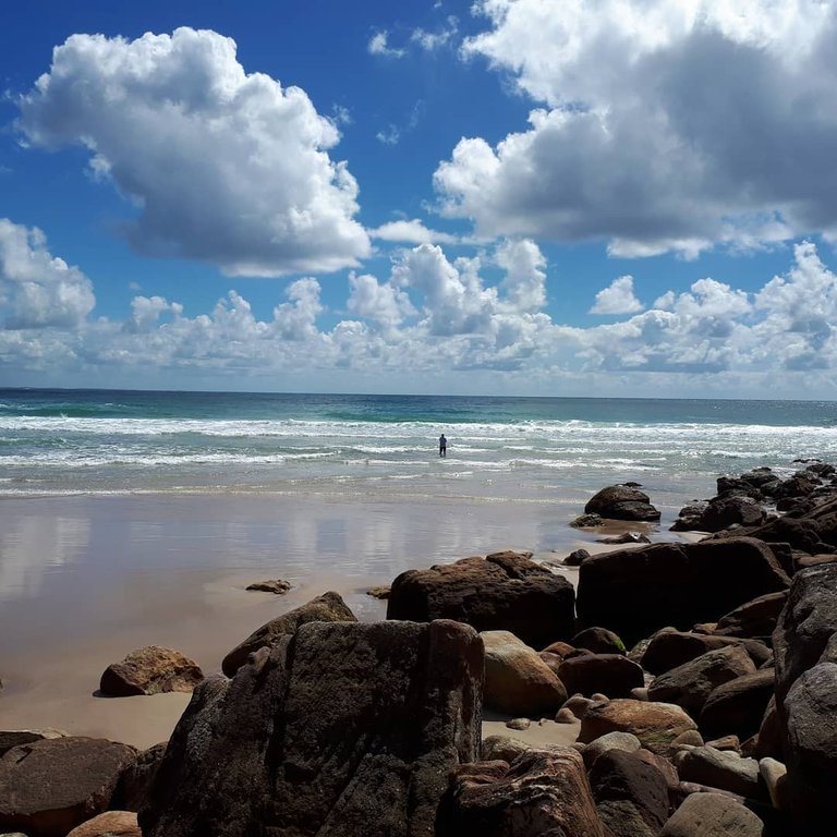 Shark Bay Evans Head, NSW 2018.jpg