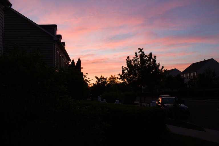 2018 05 20_0537.jpg