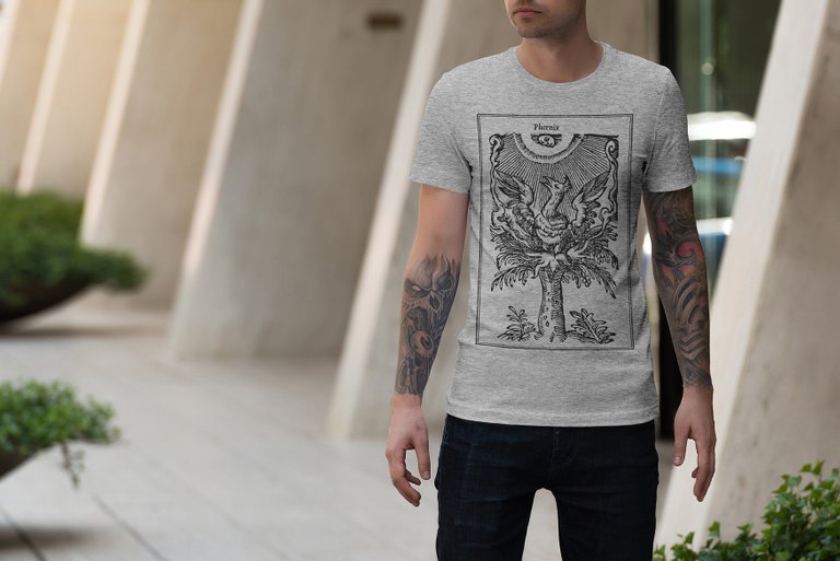 phoenix12-male-tshirt-mockup.jpg