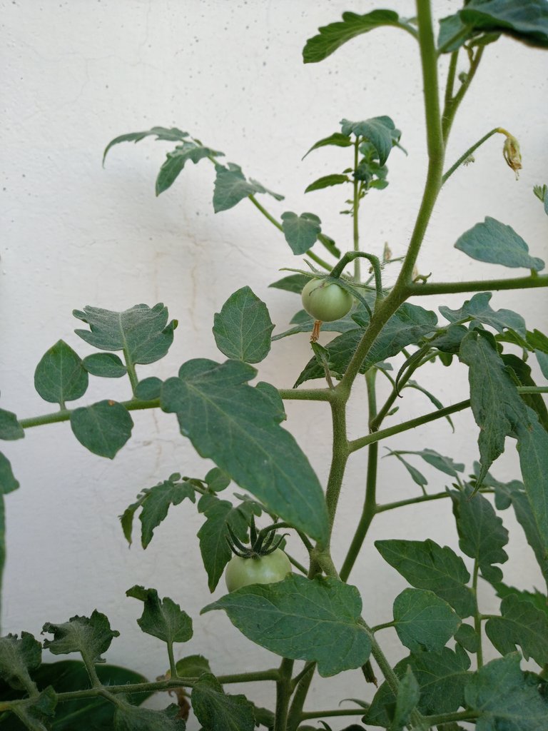 20220408_071338.jpg