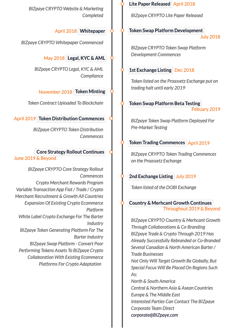 Bizpaye roadmap2.png