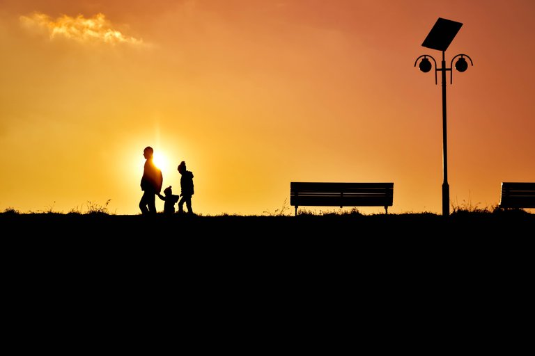 backlit-bench-children-247880.jpg