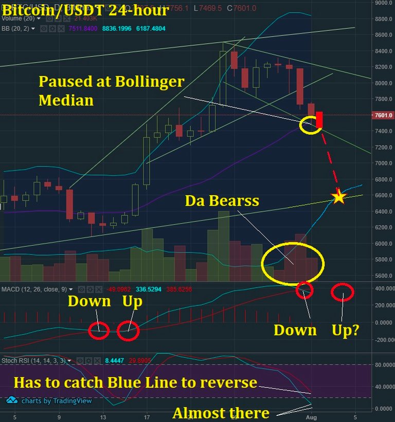 Aug 1 BTC T&A.jpg