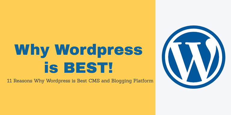Why Wordpress is Best.png