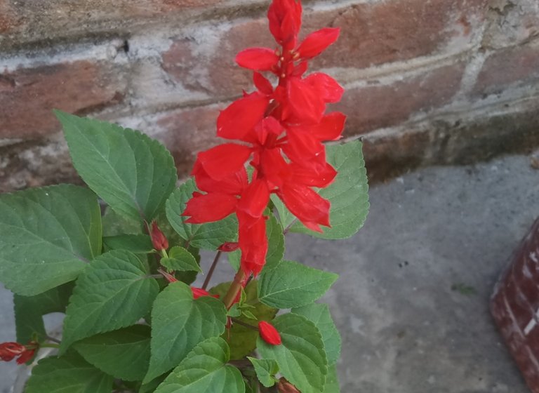 20201003_193739.jpg