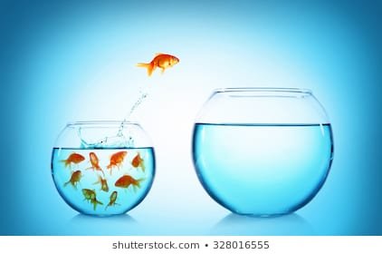 goldfish-jumping-glass-aquarium-on-260nw-328016555.jpg