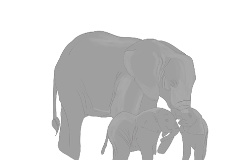 elefante 3.png