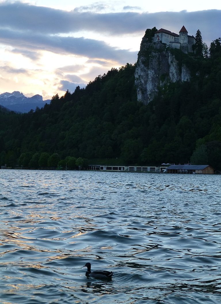 Bled_(8897406927).jpg