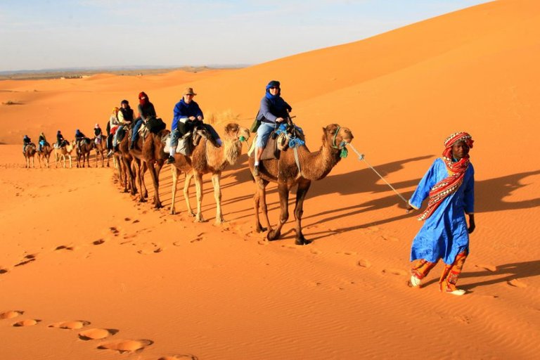 tour-around-desert-by-camels-trekking.jpg