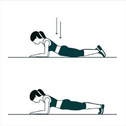 front-planks (1).jpg