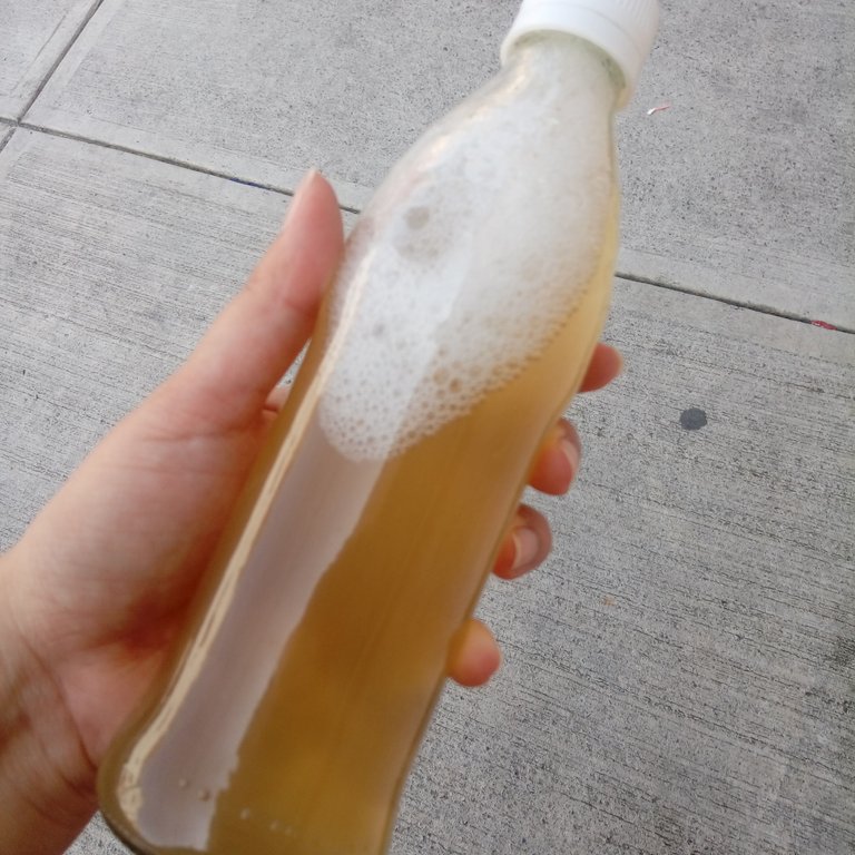 kombucha.jpg