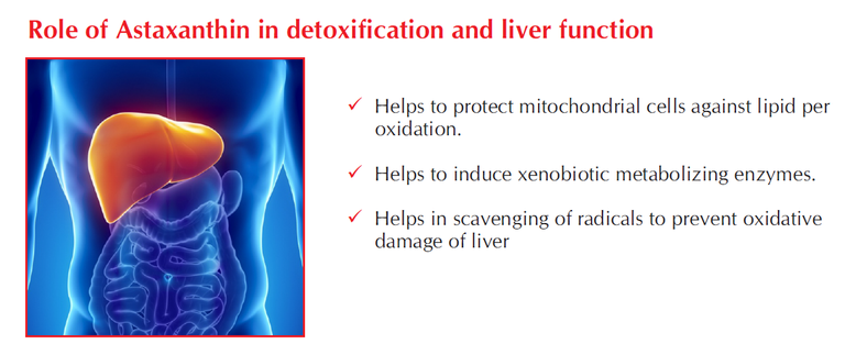 Astaxanthin6.png