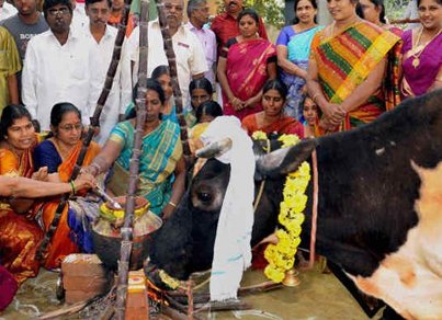 pongal-festival4.jpg