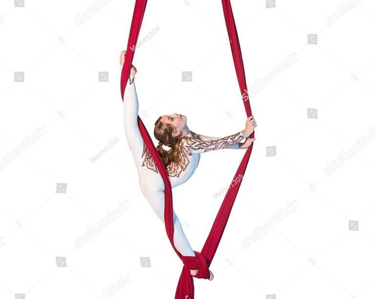 stock-photo-graceful-gymnast-performing-aerial-exercise-476461258.jpg